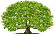 City of Grey Forest Logo